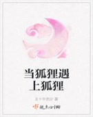 当狐狸遇上狐狸