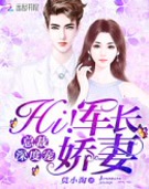 总裁深度宠:Hi!军长娇妻