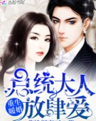 重生暖婚:总统大人,放肆爱
