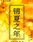 锦夏之年